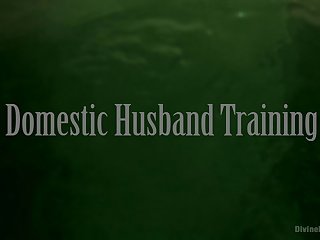 17.04.28  Jessica Ryan Domestic Husband Training